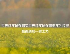 世界杯买球在哪买世界杯买球在哪里买？权威指南助您一臂之力
