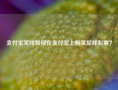 支付宝买球如何在支付宝上购买足球彩票？