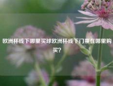 欧洲杯线下哪里买球欧洲杯线下门票在哪里购买？