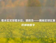 看水位买球看水位，猜胜负——揭秘足球比赛的神秘数字