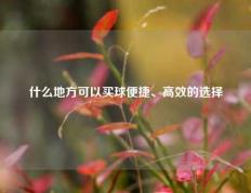 什么地方可以买球便捷、高效的选择
