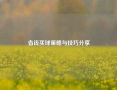 省钱买球策略与技巧分享