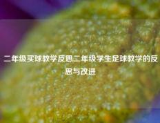 二年级买球教学反思二年级学生足球教学的反思与改进