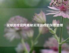 买球游戏官网揭秘买球游戏的灰色地带