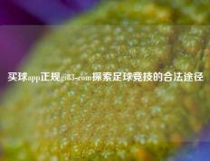 买球app正规gi83-com探索足球竞技的合法途径