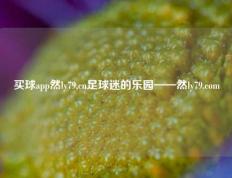 买球app然ly79,cn足球迷的乐园——然ly79.com
