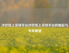 沙巴线上买球平台沙巴线上买球平台的崛起与未来展望