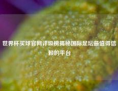 世界杯买球官网评级榜揭秘国际足坛最值得信赖的平台