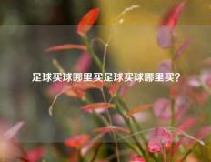 足球买球哪里买足球买球哪里买？