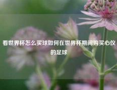 看世界杯怎么买球如何在世界杯期间购买心仪的足球