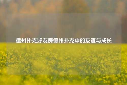 德州扑克好友房德州扑克中的友谊与成长