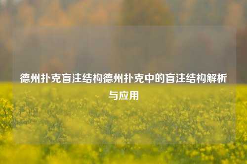 德州扑克盲注结构德州扑克中的盲注结构解析与应用