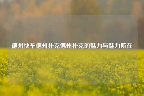 德州快车德州扑克德州扑克的魅力与魅力所在
