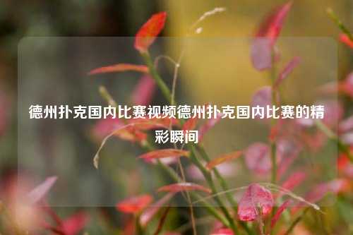 德州扑克国内比赛视频德州扑克国内比赛的精彩瞬间
