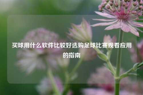 买球用什么软件比较好选购足球比赛观看应用的指南