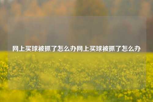 网上买球被抓了怎么办网上买球被抓了怎么办