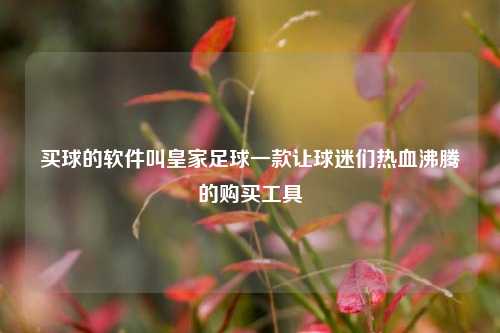 买球的软件叫皇家足球一款让球迷们热血沸腾的购买工具