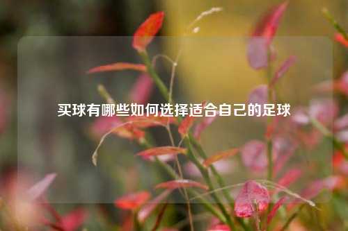 买球有哪些如何选择适合自己的足球