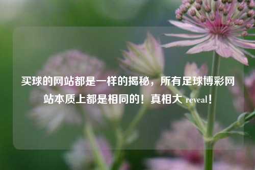 买球的网站都是一样的揭秘，所有足球博彩网站本质上都是相同的！真相大 reveal！