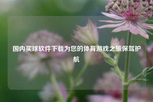 国内买球软件下载为您的体育游戏之旅保驾护航