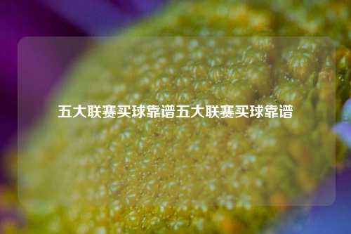五大联赛买球靠谱五大联赛买球靠谱