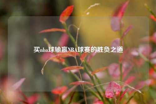 买nba球输赢NBA球赛的胜负之道