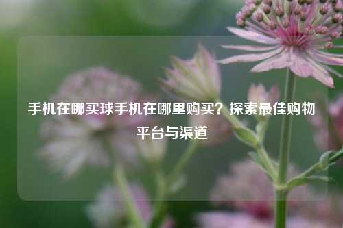 手机在哪买球手机在哪里购买？探索最佳购物平台与渠道