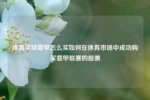 体育买球意甲怎么买如何在体育市场中成功购买意甲联赛的股票