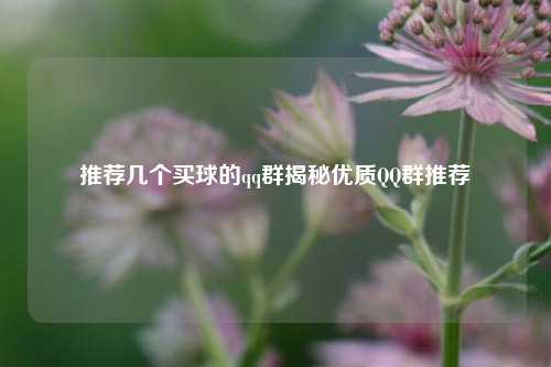 推荐几个买球的qq群揭秘优质QQ群推荐
