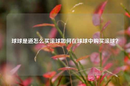 球球是道怎么买滚球如何在球球中购买滚球？