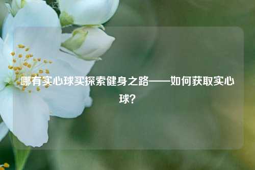 哪有实心球买探索健身之路——如何获取实心球？