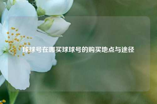 球球号在哪买球球号的购买地点与途径