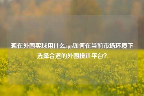 现在外围买球用什么app如何在当前市场环境下选择合适的外围投注平台？