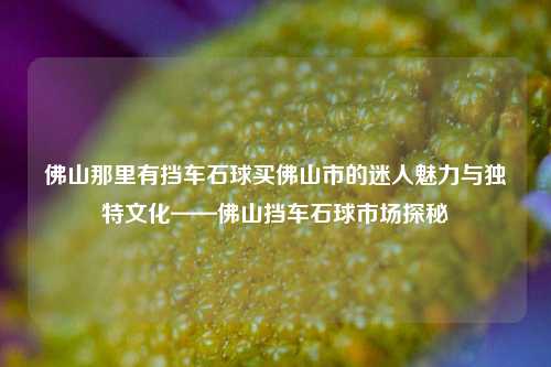佛山那里有挡车石球买佛山市的迷人魅力与独特文化——佛山挡车石球市场探秘