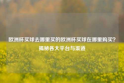 欧洲杯买球去哪里买的欧洲杯买球在哪里购买？揭秘各大平台与渠道