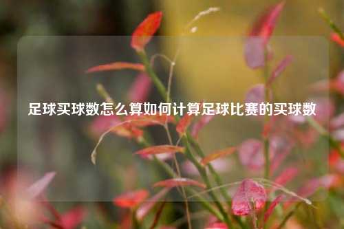 足球买球数怎么算如何计算足球比赛的买球数