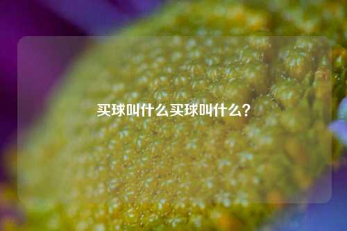 买球叫什么买球叫什么？