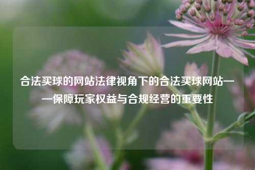 合法买球的网站法律视角下的合法买球网站——保障玩家权益与合规经营的重要性