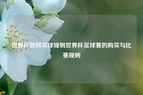 世界杯如何买球规则世界杯足球赛的购买与比赛规则