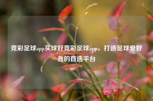 竞彩足球app买球好竞彩足球app，打造足球爱好者的首选平台