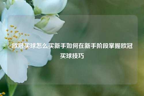 欧冠买球怎么买新手如何在新手阶段掌握欧冠买球技巧