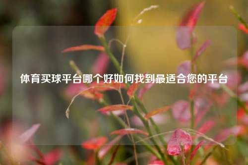 体育买球平台哪个好如何找到最适合您的平台