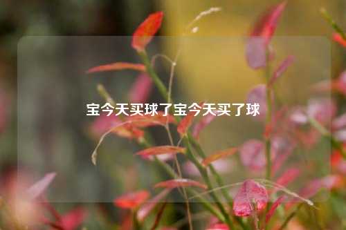 宝今天买球了宝今天买了球