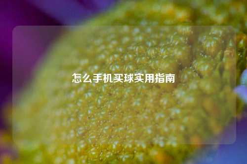 怎么手机买球实用指南