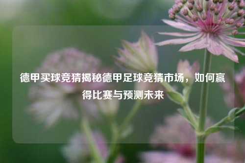 德甲买球竞猜揭秘德甲足球竞猜市场，如何赢得比赛与预测未来