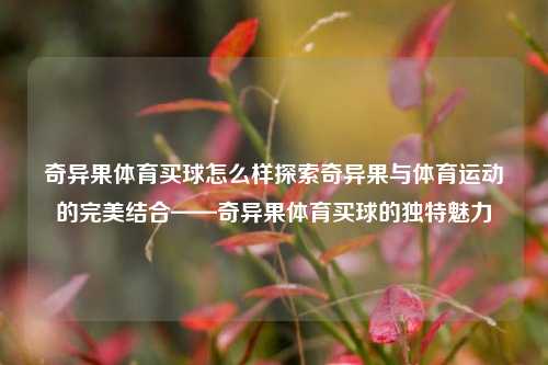 奇异果体育买球怎么样探索奇异果与体育运动的完美结合——奇异果体育买球的独特魅力