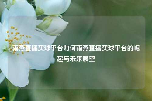 雨燕直播买球平台如何雨燕直播买球平台的崛起与未来展望