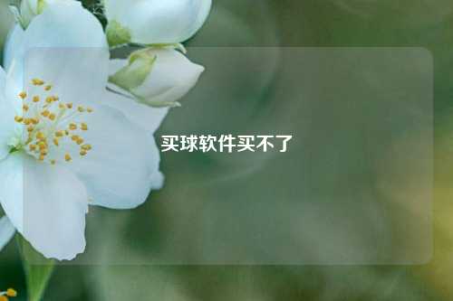 买球软件买不了