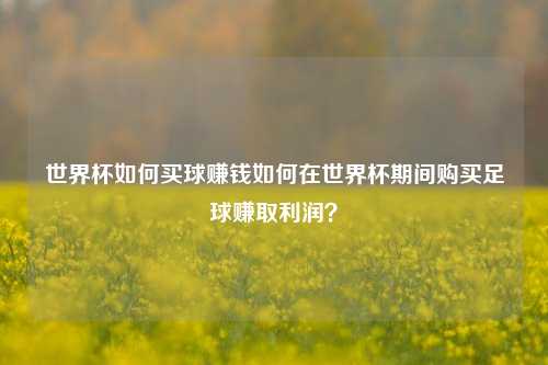 世界杯如何买球赚钱如何在世界杯期间购买足球赚取利润？
