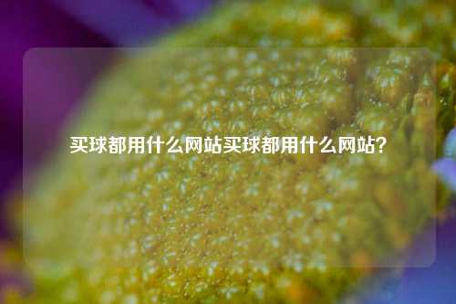 买球都用什么网站买球都用什么网站？
